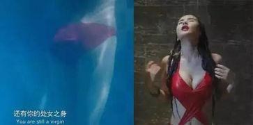 国产三级黄色影视  第2张